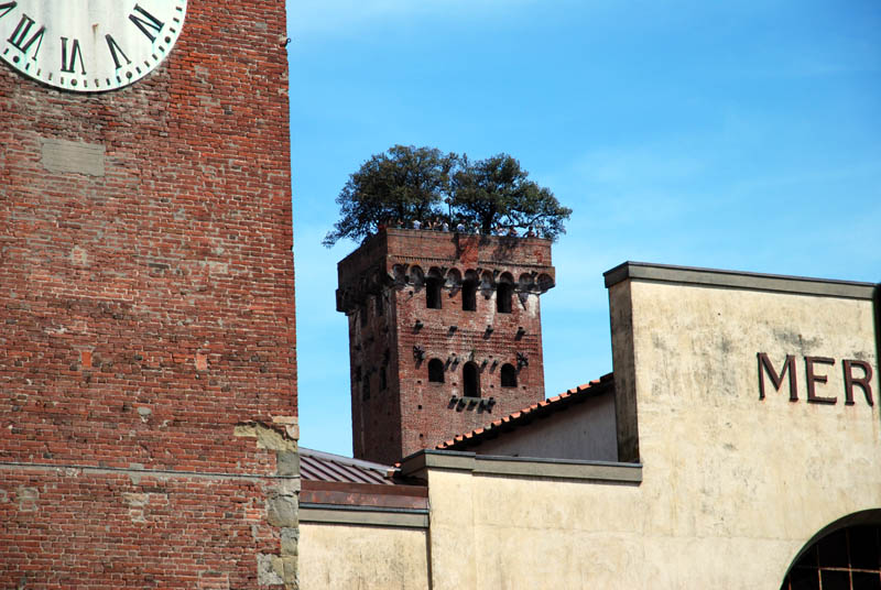 Lucca